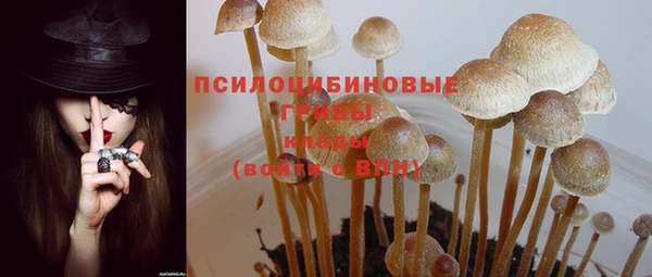 прущие грибы Беслан